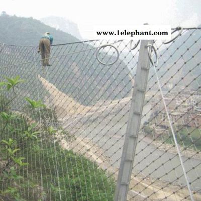 专业批发 主动边坡防护网 护栏网防护网 草原防护网 刚性防护网图2