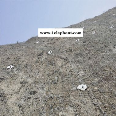 盛达 绞索网 山体滑坡防护网 自然灾害防护网