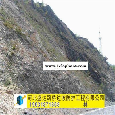 主动防护网 主动防护网型号 主动防护网报价图3