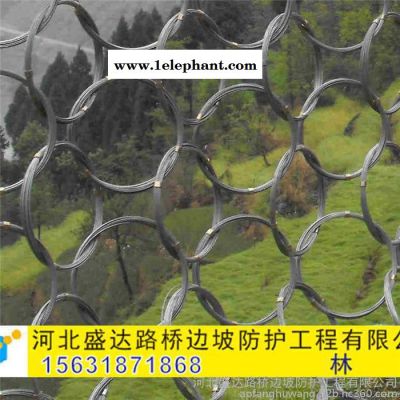 盛达环形防护网 山体防护网 柔性防护网 落石防护网图2