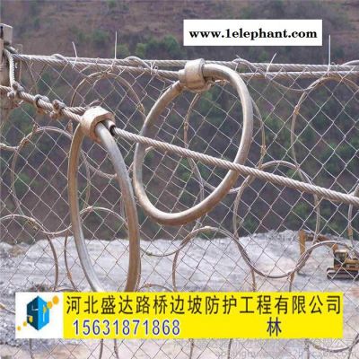 盛达环形防护网 山体防护网 柔性防护网 落石防护网图5