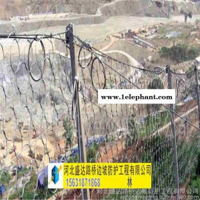 盛达环形防护网 环形防护网供应 边坡防护网 落石防护网图2