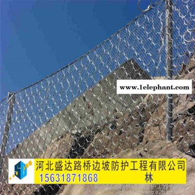 盛达环形防护网 环形防护网供应 边坡防护网 落石防护网图5