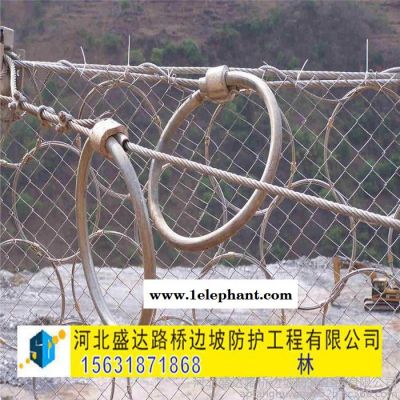 盛达环形防护网 环形防护网供应 边坡防护网 落石防护网图4