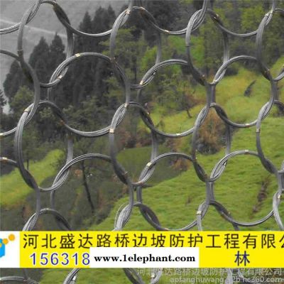 盛达环形防护网 环形防护网供应 边坡防护网 落石防护网图6