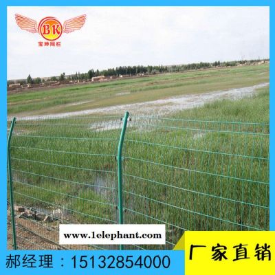深圳防护网 安全防护网 厂家批发图5