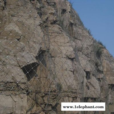 边坡防护网  山坡防护网  主动防护网  自然灾害防护网图4