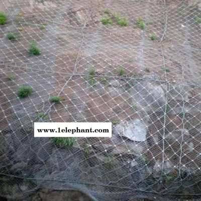 边坡防护网  山坡防护网  主动防护网  自然灾害防护网图3