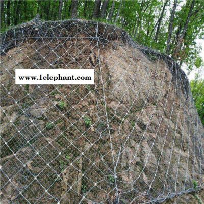 【派森】实体厂家 边坡防护网加工 边坡防护网价格 主动边坡防护网 被动边坡防护网厂家 环形网边坡防护网厂家图2