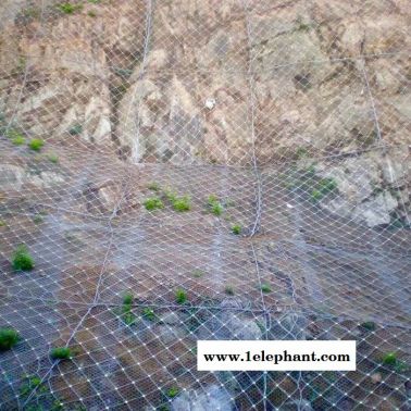 边坡防护网厂家 边坡防护网现货 专业边坡防护网