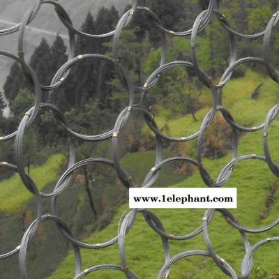 SNS柔性边坡防护网  环形防护网  被动边坡防护网   边坡防护网图2