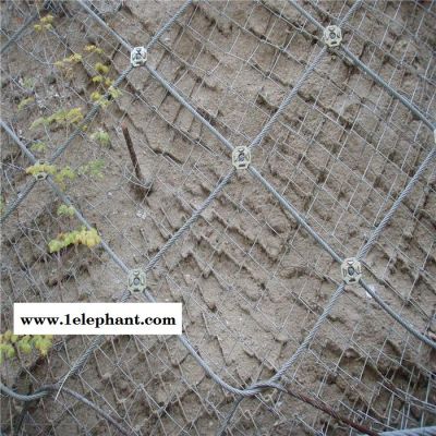 主动防护网山坡防护网厂家图2