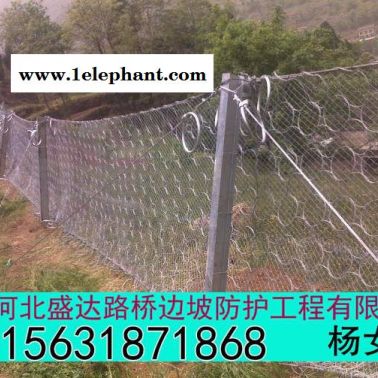 盛达环形防护网 环形防护网厂家