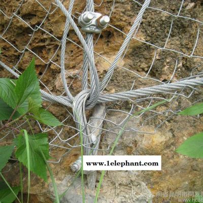 防护网  边坡防护网  被动防护网  护坡网  柔性sn 边坡柔性防护网图5