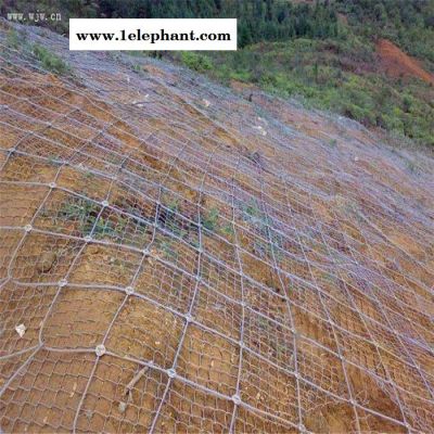 茂阔边坡防护网批发 主动边坡防护网 柔性主动边坡防护网图1