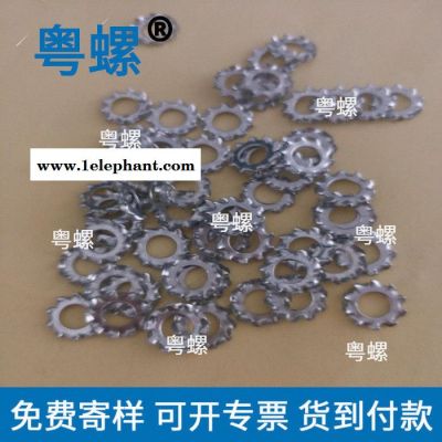 外齿垫圈 锯齿垫片 惠州外多齿止动防滑垫片厂家 粤螺生产螺丝垫片
