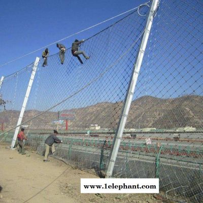 厂家供应 安全防护网 多功能防护网 边坡防护网 主动防护网 柔性防护网图6