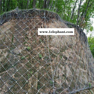 【派森】边坡防护网施工 边坡防护网供应 边坡防护网厂家 边坡防护网单价图1