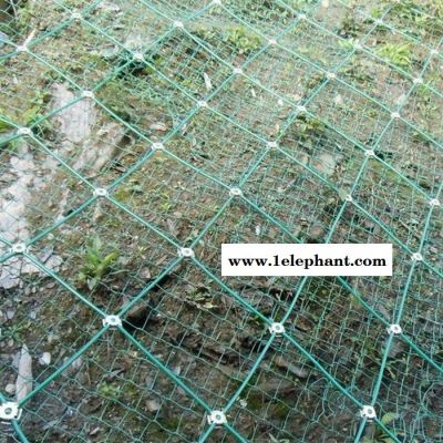 【派森】边坡防护网施工 边坡防护网供应 边坡防护网厂家 边坡防护网单价图2