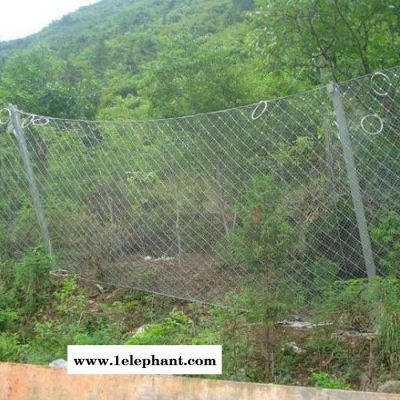 自然灾害被动防护网 边坡安全防护被动防护网 **被动防护网 被动边坡防护网图2