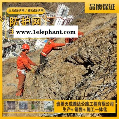 厂家批发专业品质较高柔性高防护强度边坡主动防护网柔性SNS防护网图3