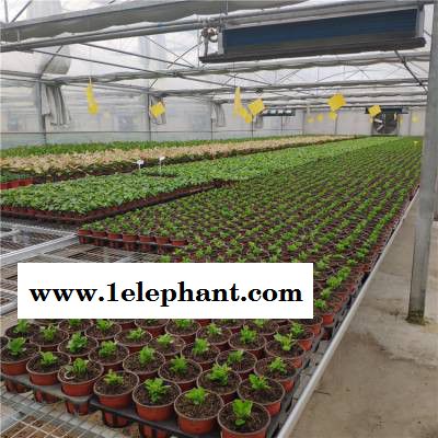 网都 防护网图7