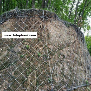 【派森** 边坡防护网 被动边坡防护网 SNS柔性边坡防护网 欢迎订购