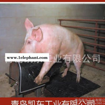 加厚公猪用防滑垫 人工授精 采精防滑垫 种猪防滑垫 1m*1图2