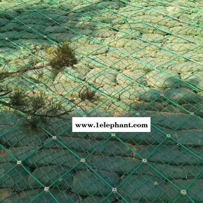 鑫金冀通辽边坡主动防护网@边坡防护网@主动防护网生产厂家图3