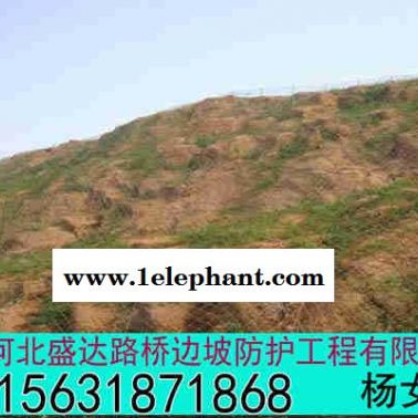 供应盛达GAR1主动防护网现货 GAR1主动防护网定做