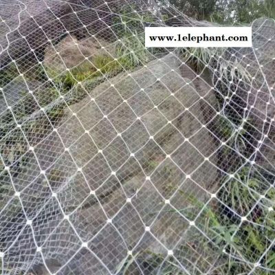 鑫金冀延边绿化喷浆主动防护网@主动防护网@边坡防护网**图2