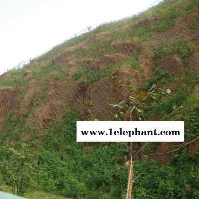 现货边坡防护网GPS2型坡面护坡防护主动网 紧固山面钢丝绳防护网直销 可加工定制图2