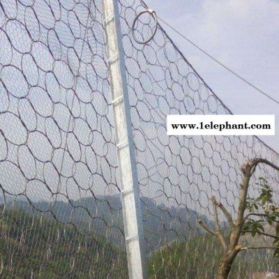【恒仁丝网】 厂家直销  RX-050型被动防护网 落石安全防护网 环形网图4