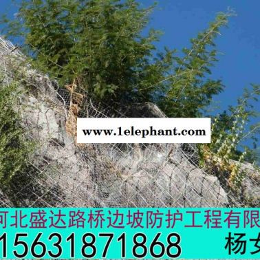 供应盛达边坡防护网定制 边坡防护网批发 边坡防护网销售