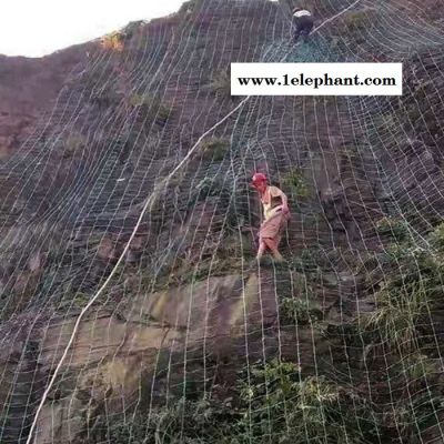 拓林 绿色钢塑防护网 贵阳绿色钢塑防护网 绿色钢塑防护网厂家批发图6