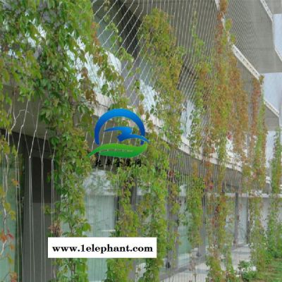 乾卓金属网 植物爬架网 防护网 钢丝绳网 天井防护网 拦截网 一楼防护网防坠抛物网 植物爬架网防护网图3