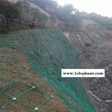 祥子丝网   防护网 防护网   厂家定做 实体厂家 现货供应