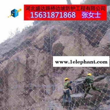 供应盛达边坡工程防护网边坡工程防护网厂家