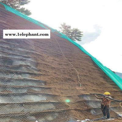湖北十堰瀚澳SNS边坡防护网厂家 高边坡落石防护网 绿色包塑主动防护网 被动环形防护网 矿山绿化喷浆挂网图6