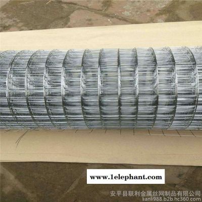 联利园林防护网 养殖丝网 散养鸡荷兰网 道路两侧防护网图7
