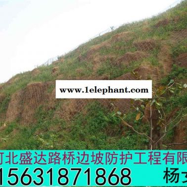 供应盛达GAR2主动防护网报价 GAR2主动防护网批发