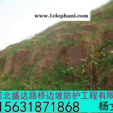 供应盛达GPS1主动防护网批发 GPS1主动防护网定做