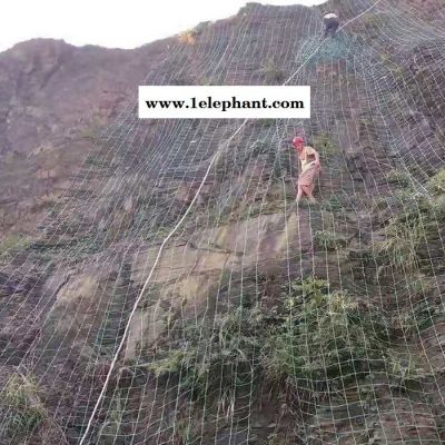 拓林边坡防护网 东莞绿化边坡防护网 山林边坡防护安全网 植物攀爬防护网图4