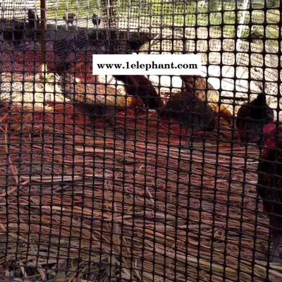 拓林 护栏网 塑料挡墙护栏网 黑色防护网 养殖围栏防护网 果园防盗护栏网图4