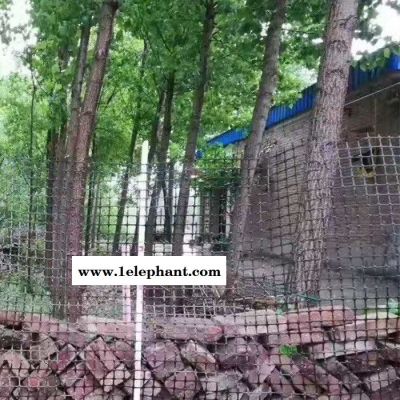 拓林 护栏网 塑料挡墙护栏网 黑色防护网 养殖围栏防护网 果园防盗护栏网图6