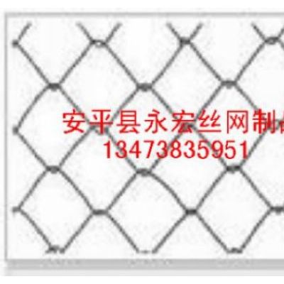 永宏 供应 4-9孔 绿化用防护网 边坡防护网 边坡防护铁丝网 镀锌铁丝网图2