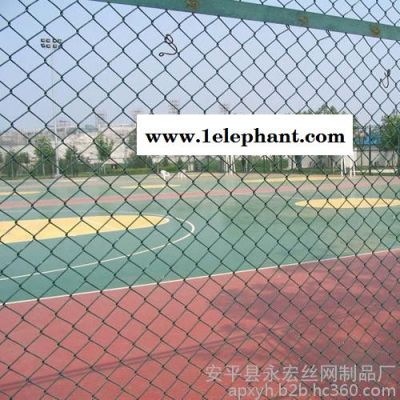 永宏 供应 4-9孔 绿化用防护网 边坡防护网 边坡防护铁丝网 镀锌铁丝网图7