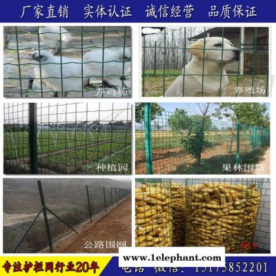 郑州圈地护栏网护栏网立柱 小区防护网 菱形防护网 临时围栏 桥梁隔离栅图8