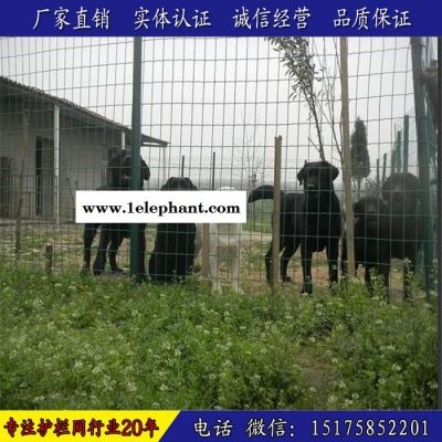 郑州圈地护栏网护栏网立柱 小区防护网 菱形防护网 临时围栏 桥梁隔离栅图4