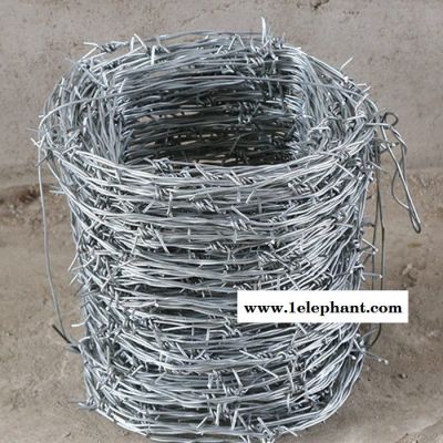 镀锌刺绳防护网 防爬刺网 pvc刺绳图3